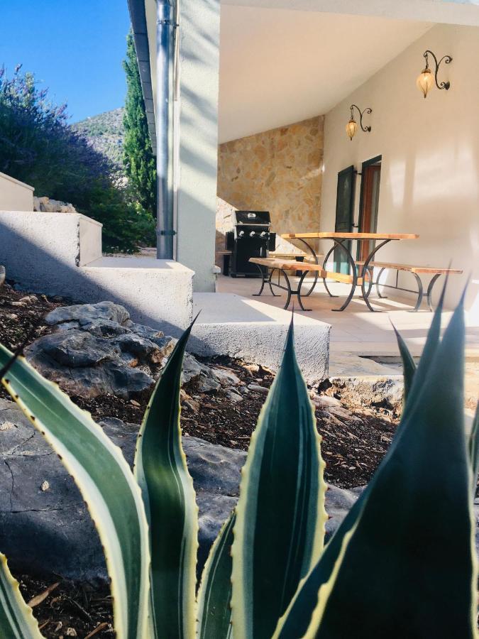 Villa Nerium Seget Vranjica Dış mekan fotoğraf